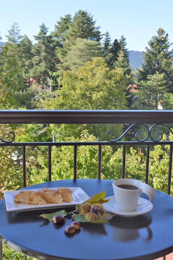 Hotel Dryades Elati  Экстерьер фото